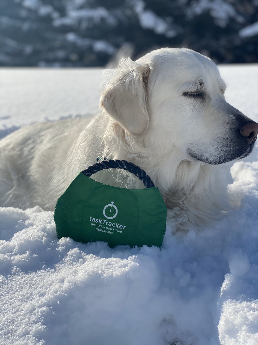 ASBtasktracker's tweet image. Want more time with your best friend?  Stop by our booth 1244 to streamline your operation.   Trust us, he will definitely thank you. 

#tasktracker #digitaljobboard #GIS2020 @FAIRWAYiQ @GCSAA_GIS