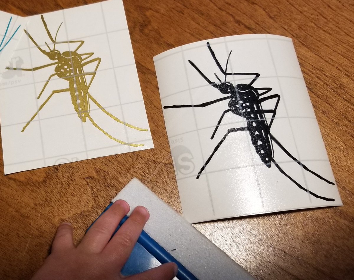 artisticnatures's tweet photo. Sorry for the delay, I know you've all been dying to know the answer to the #mystery - if you guessed a gold #mosquito #vinyldecal you win!! These two are headed for Malaysia! https://t.co/aRjYRFNDEP