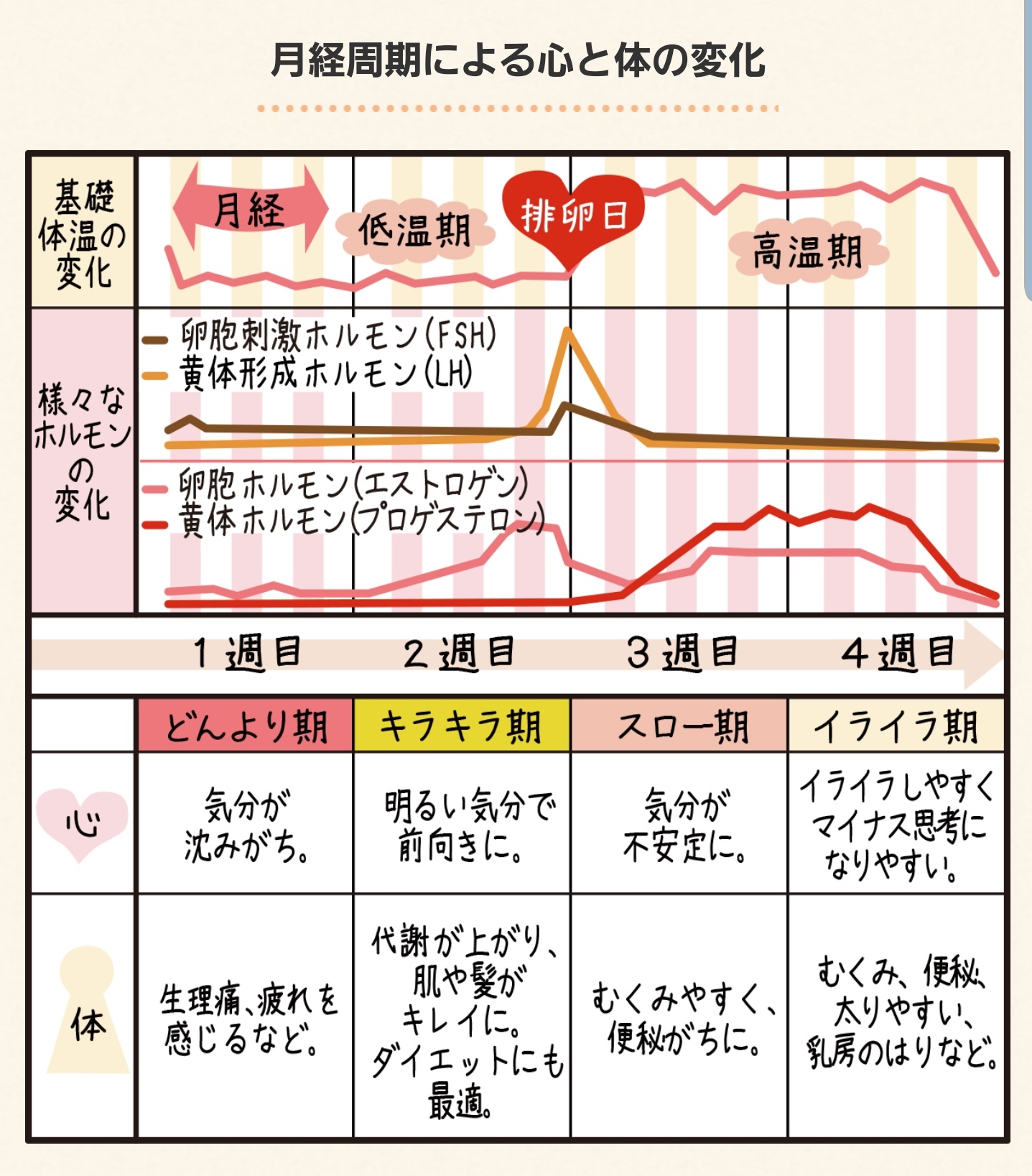 排卵日の症状