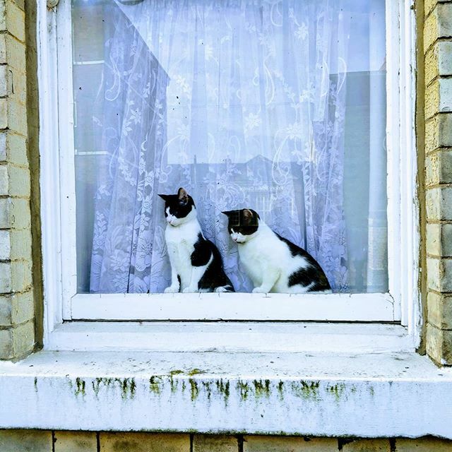 Andrew Backhouse tweet media