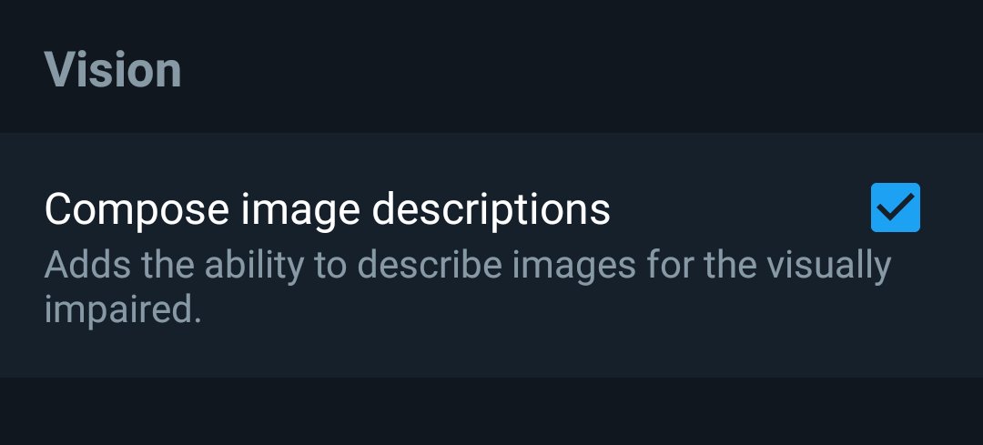 Screenshot of the "Compose image descriptions" Twitter setting, reading "adds the ability to describe images for the visually impaired". The checkbox for the setting is ticked.