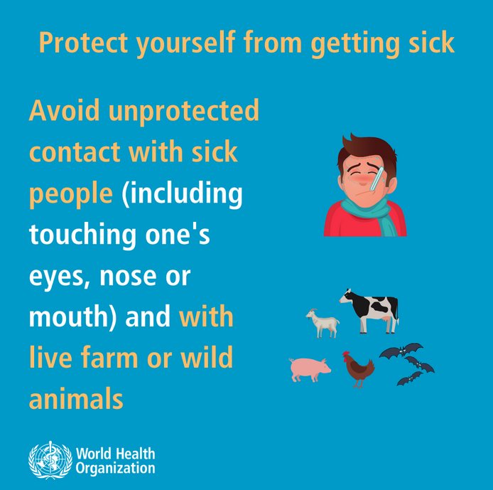 CONFIDEproject's tweet photo. #Coronavirus #WHO recommandations https://t.co/q1pOj6s7iB