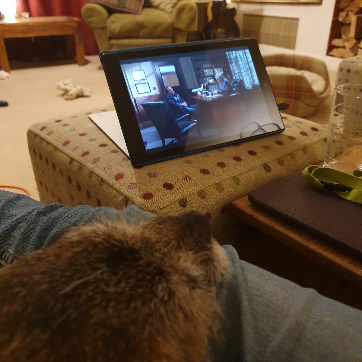 HWicket's tweet photo. #BTPosse #boxsetting #gilmoregirls  SO hoomum sick. I HAV BAILED but Bogle watchin' acres of Gilmore Girls....it only gets intrestin' when da dug appeerz! #whoizmommiezfavorit https://t.co/OAuLZutzEo