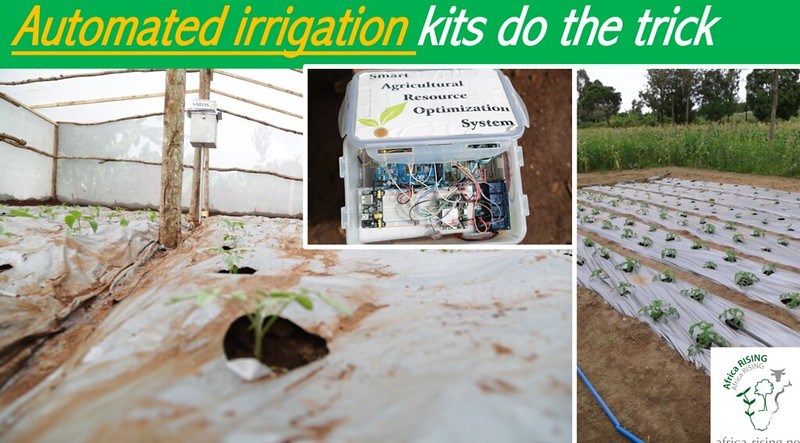 IITA_CGIAR's tweet photo. Automated irrigation as a game-changer for farming in sub-Saharan Africa: Is it enough? https://t.co/3ac8RTsyBO https://t.co/7SPw6uNRX2