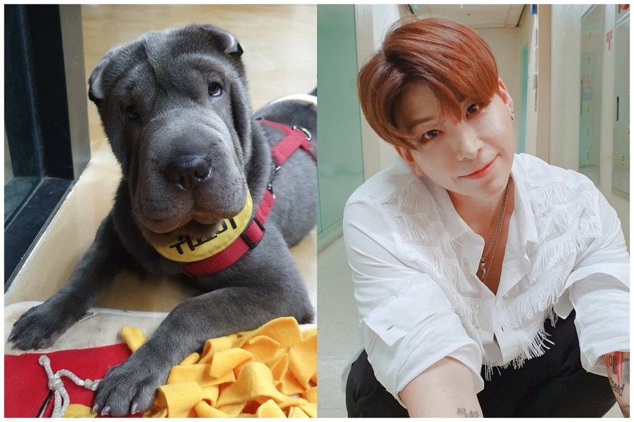 aynowifes's tweet photo. Look at that ... Cash looks just like stvan!! So cute
@VavCash @VAV_official @twt_VAV
#CuteCash #CuteStvan #Cash #CashVAV https://t.co/A4QxInNmwc