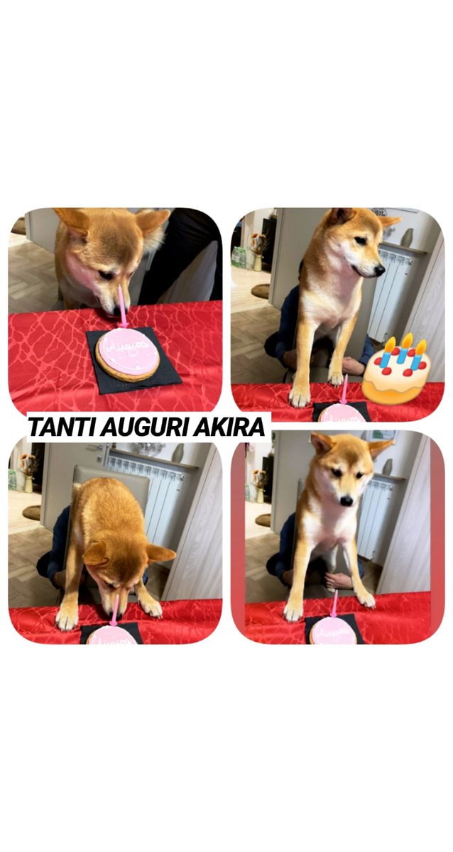 AndreaPeruzzo's tweet image. 