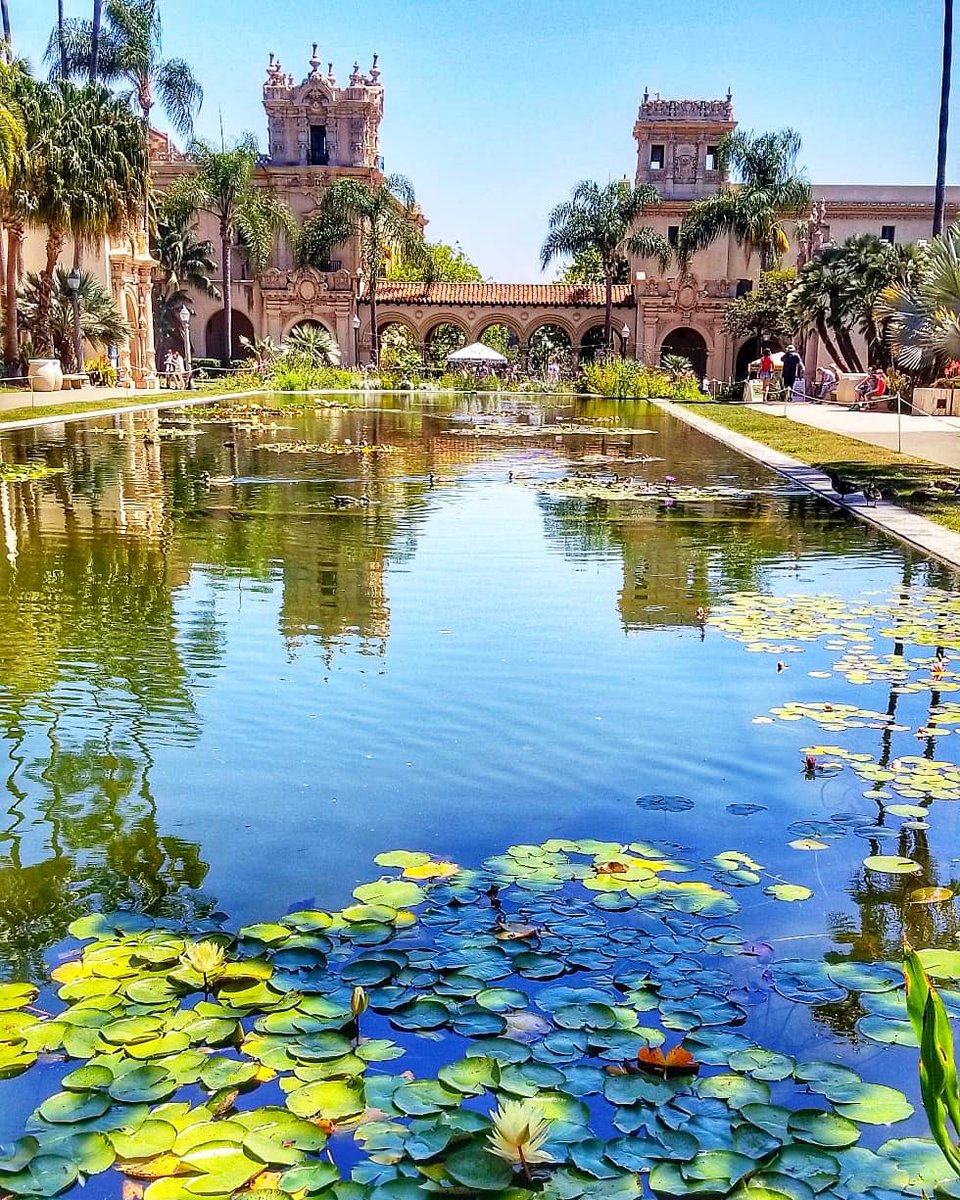 marriottgaslamp's tweet photo. Winter in San Diego means blue skies and sunshine; perfect for a stroll through historic #BalboaPark. ☀️
📷: adilolis

#MarriottGaslamp #SanDiego #VisitSanDiego #PassionPassport #TravelBrilliantly https://t.co/TlFayvYnl5