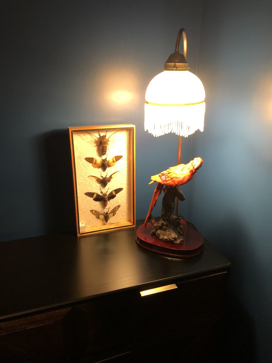 adamtslade's tweet photo. Eclectic little addition to our dining room! Looks quite at home against the @SandersonFW ‘Palm House’ Roman blinds #Parrot #parrotlamp #interiordesign #interiorstyling #homedecor #hometrends2020 #jungletheme #designer #stylist https://t.co/cTrSYHPmyy