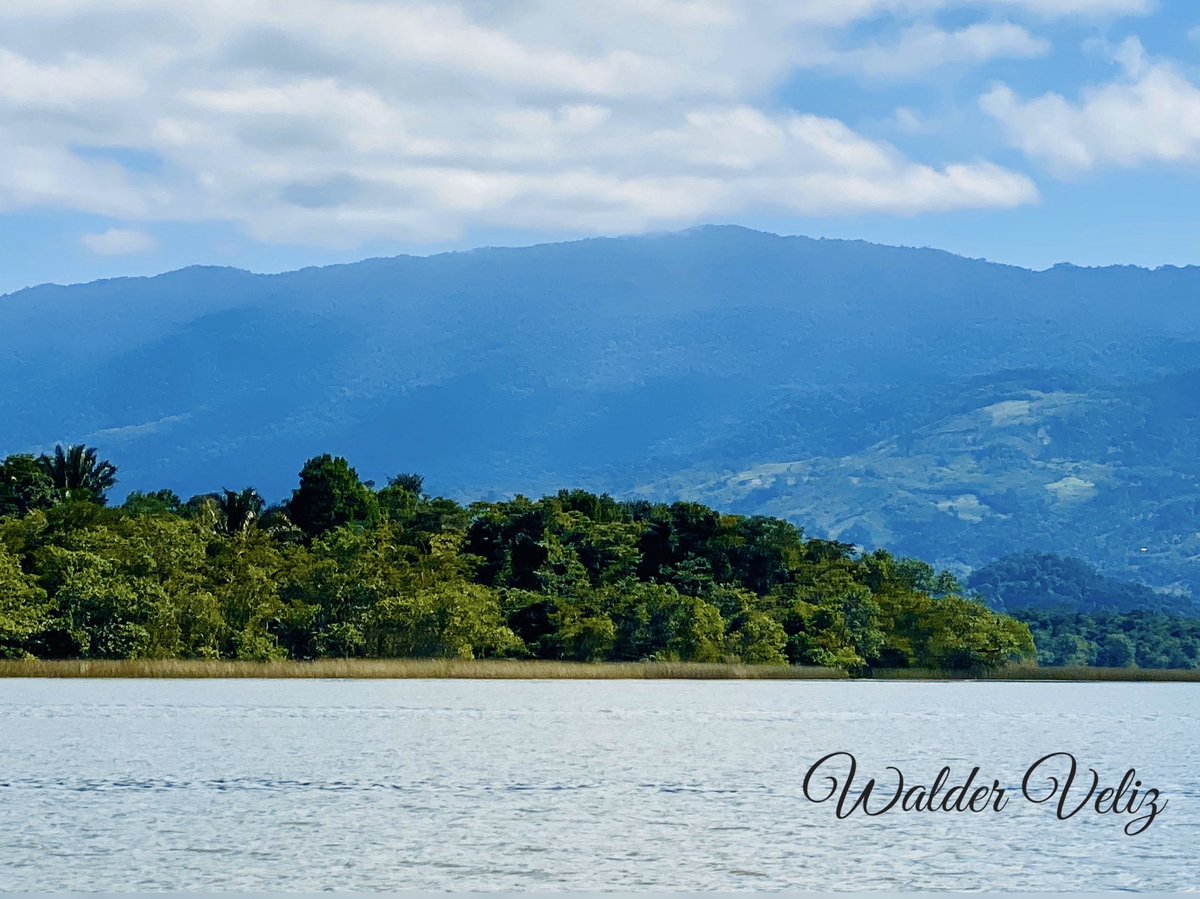 WalderVeliz's tweet photo. RÍO DULCE; cuenta con 43 km de longitud y une al lago de Izabal con el mar Caribe en Livingston.
A lo largo del rio se encuentra un verdadero corredor biológico que incluye bosque tropical lluvioso, manglares también es habitad del manatí que está en peligro de extinción #Labuga https://t.co/GNbWibpLhK