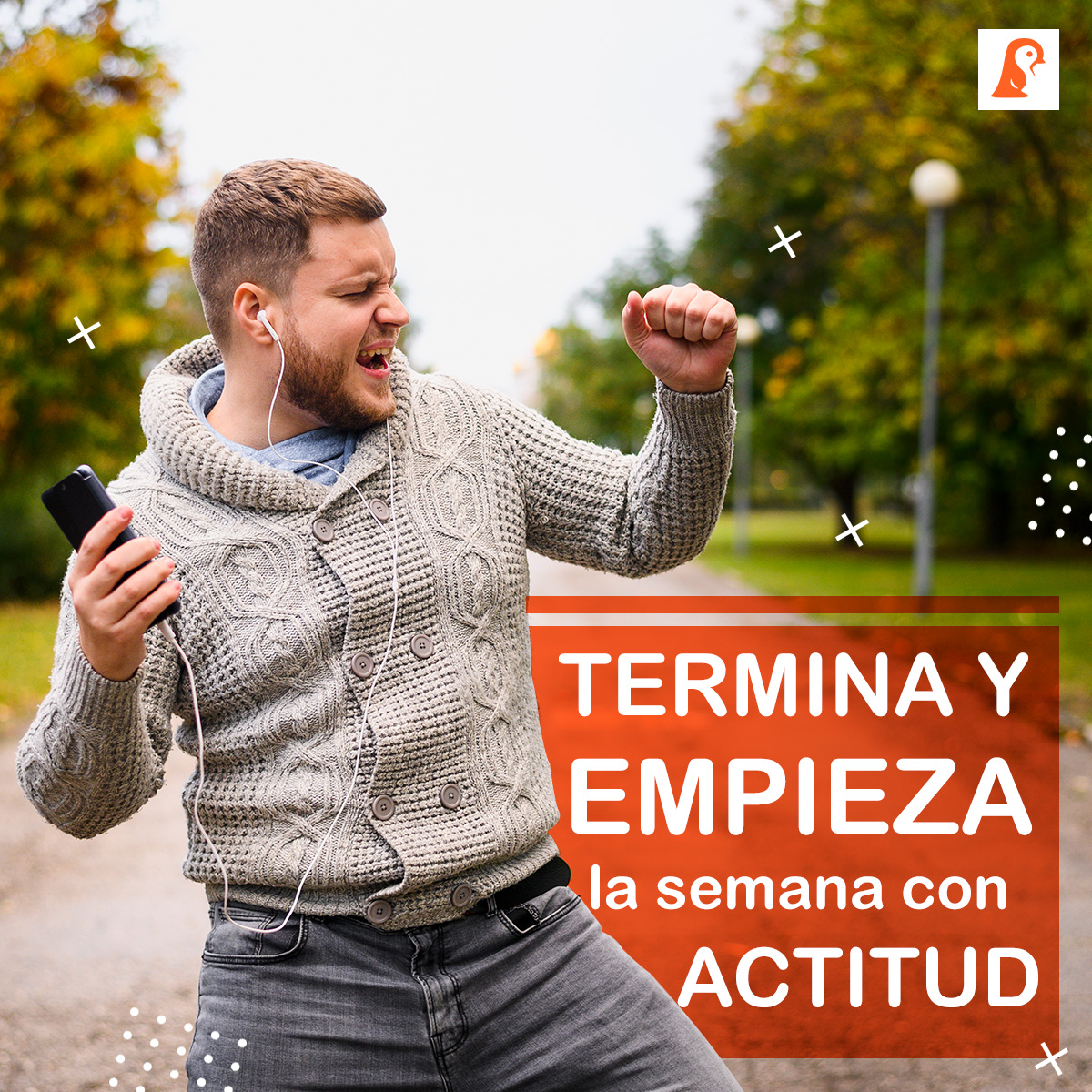 Zengo Mx (@MxZengo) / Posts / X