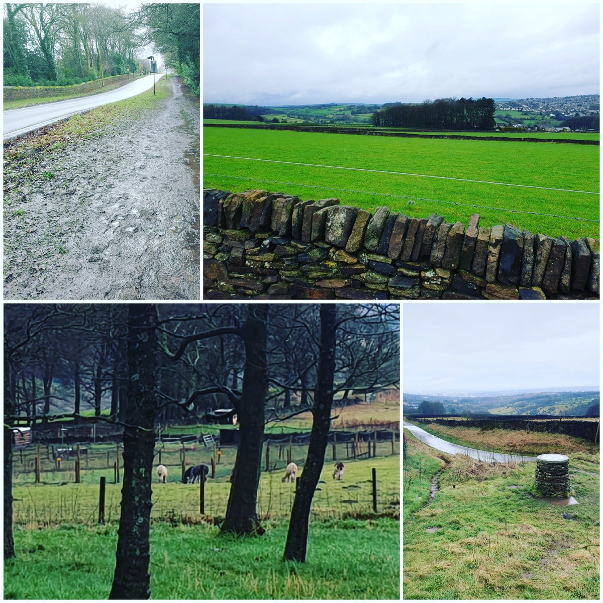 KatrinaLBoyd's tweet photo. Sheffield Half Training #thismumruns #rainyday #AttercliffeToAlpacas #Nature #runningtherapy #10milesdone https://t.co/jh1LX69fsF