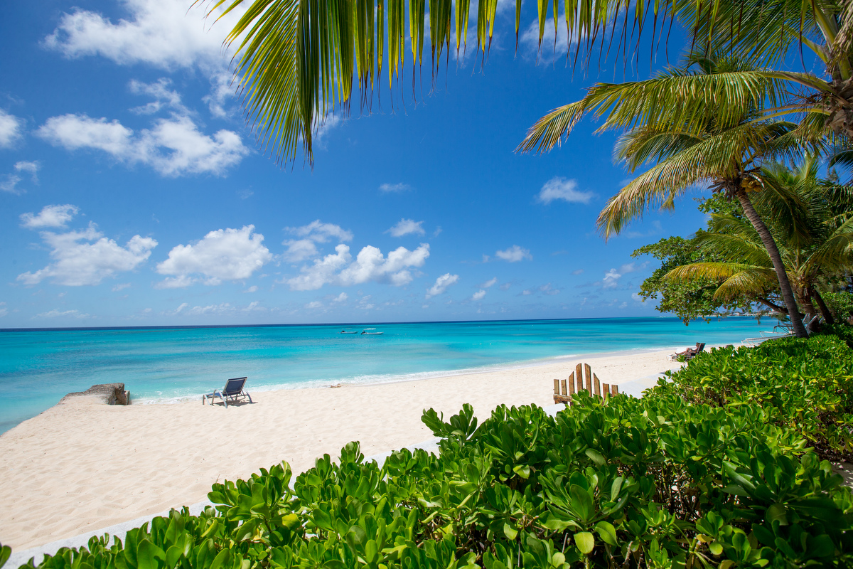 BETurksandCaicos tweet media