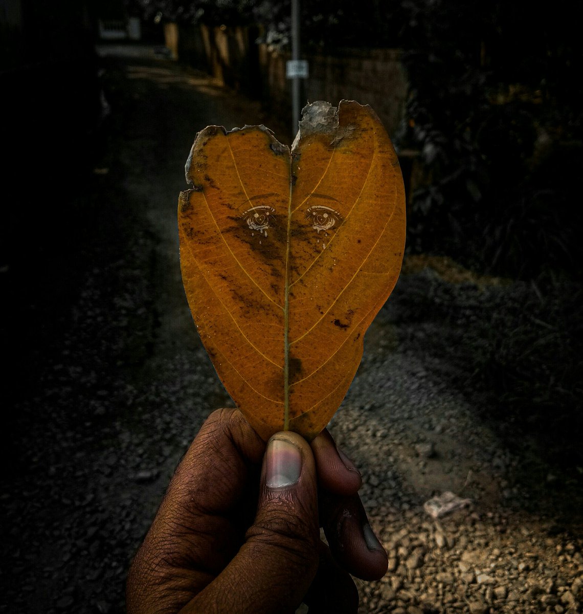 #naturephotography #photographers #PhotographyIsArt #Photoshoot #Photos #PhotosOfMyLife #PhotoMode #photojournalism #nature #WorldPeace