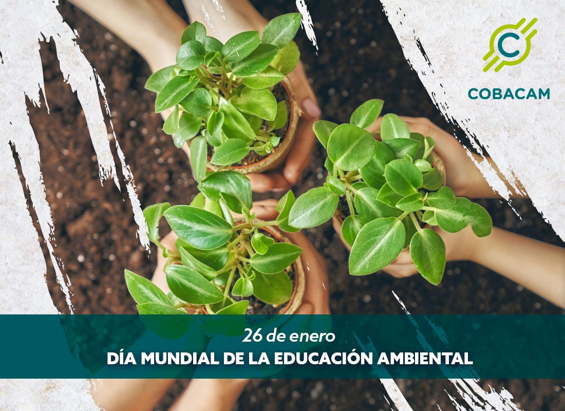 cobacamoficial's tweet photo. #ChécateElDato 🧐
"Lo que se conoce se quiere y lo que se quiere se cuida"🌳
¡Cuidemos nuestro hogar: el planeta!🌎
#COBACAM #VocaciónCobacam #Planeta #PrayForPlanet https://t.co/WB5BVhHGI3
