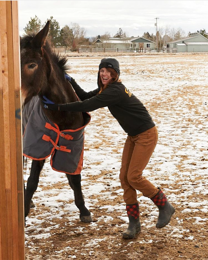 WesternChiefKid's tweet photo. "HAY! Where are you going?!" - @jessiegentry showing off her new friend &amp; new Buffalo Polarprene #neoprene boots 🐴 Check out this post on her feed to find out all the fun facts about Maddie, the mule! 
#WesternChief #WesternChiefWomen #FarmLife

https://t.co/6HLOVCCjoU https://t.co/p5TDjQTLPR