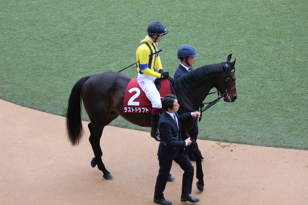 HiyoshiPocket's tweet photo. 2020/01/26
#ラストドラフト
#オイシン・マーフィー
#社台RH
#AJCC
#アメリカジョッキークラブカップ
#LastDraft
#中山競馬場 https://t.co/Ozj9VItwce