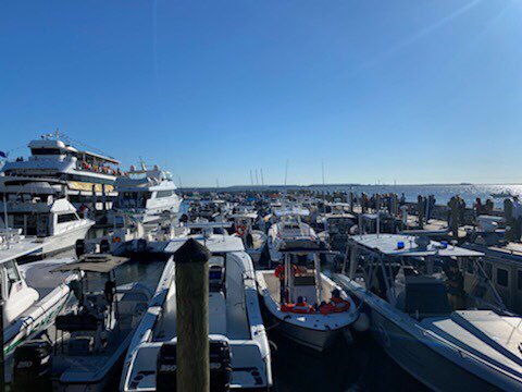 Dozens of boats docked in marina