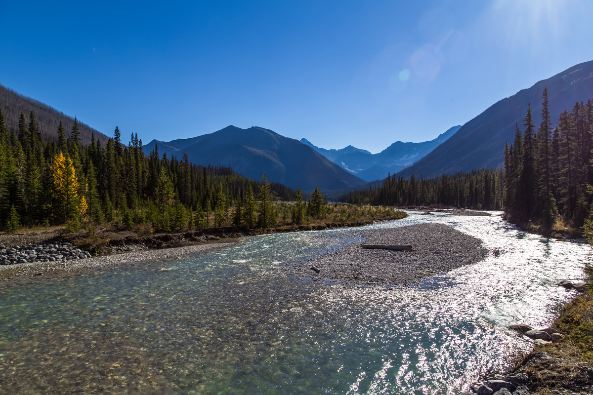 ParksCanada's tweet photo. What if THIS could be your classroom for a week? 😍 Don’t miss your chance to enter Canada’s #CoolestSchoolTrip contest, destination: @KootenayNP! 🙌 The contest is open to Grade 6, 7, 8 or 9 classes (grade 6, Secondary 1, 2 or 3 in Quebec). Learn more: https://t.co/DWl3k7ssnm https://t.co/7ZxlzjmHd0