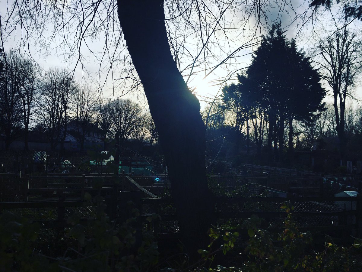 Mannix Flynn tweet media