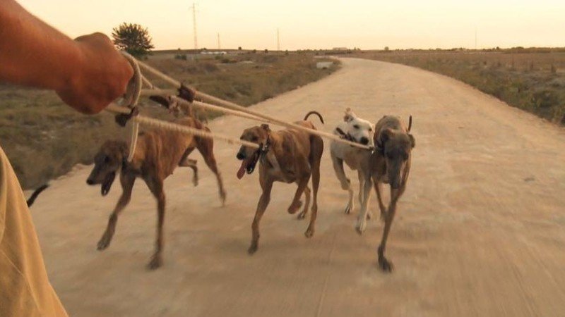 @UnKn0wnWolf tweet media