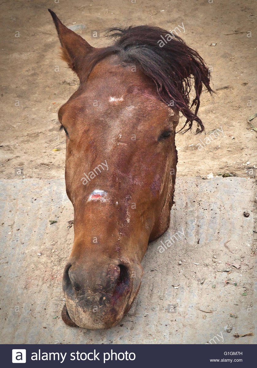 @UnKn0wnWolf tweet media