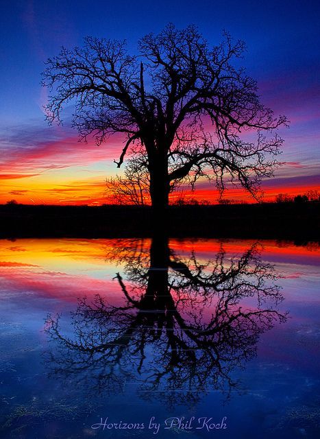 KatanaHugo's tweet photo. Good evening dear  friends !
#photography #photo #photographer #evening #sunset https://t.co/IWKZpeQfjJ