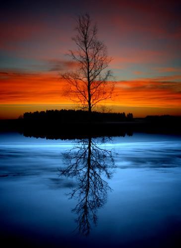 KatanaHugo's tweet photo. Good evening dear  friends !
#photography #photo #photographer #evening #sunset https://t.co/IWKZpeQfjJ