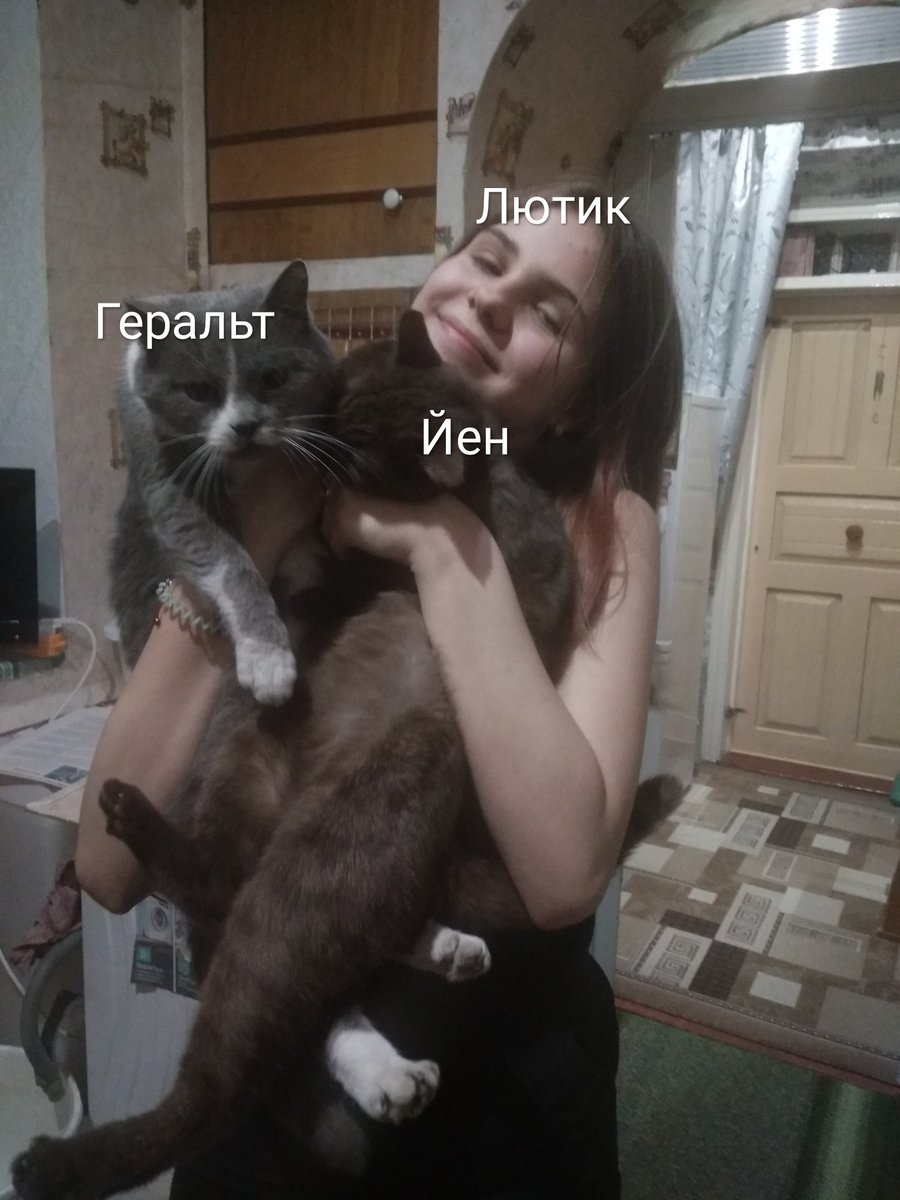 witcher_coin's tweet photo. #ведьмак #відьмак #Witcher https://t.co/pOG71KBMIS