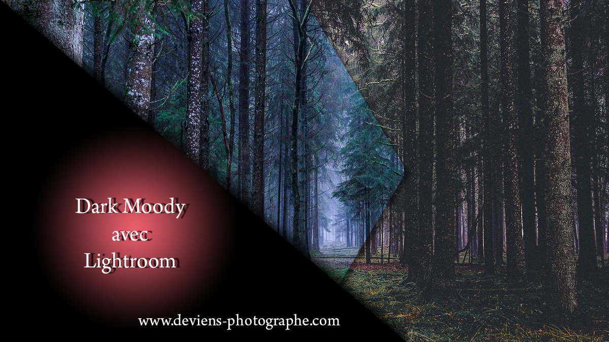 DeviensPhotogra's tweet photo. Cette semaine un tutoriel Lightroom pour vous apprendre à réaliser un style Dark Moody.
https://t.co/2pOkODBeHb https://t.co/fZHSy0zU52