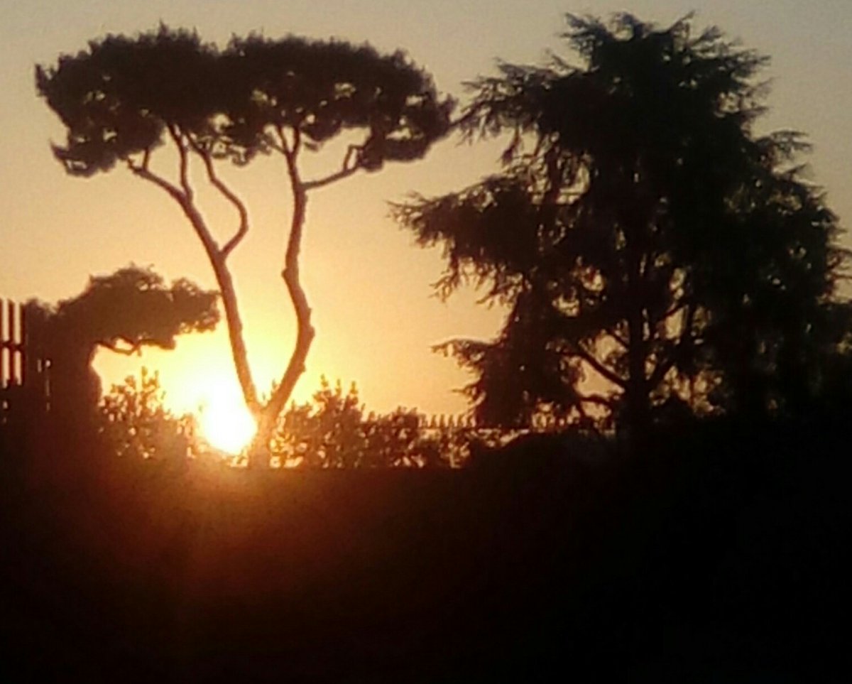 Rossydream's tweet photo. Quanto manca ancora, quanto manca per l'alba...🎶
#addapassanuttat
#pensandoate
#VentagliDiParole
#albedagosto https://t.co/izfgRHEpiJ
