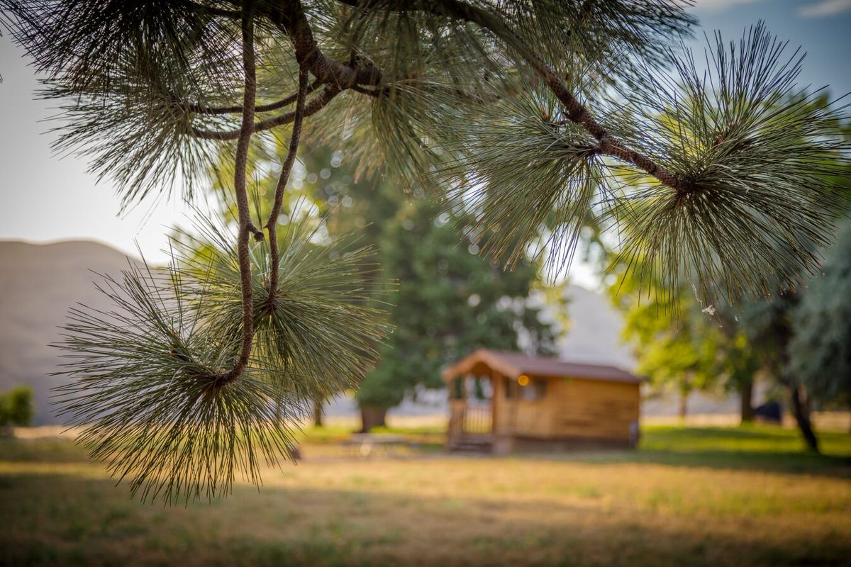 VisitLCValley's tweet photo. Are you itching for warmer weather? Plan ahead and check out the charming cabins at Chief Timothy!

#chieftimothy #visitlcvalley https://t.co/PRdNEreZmg