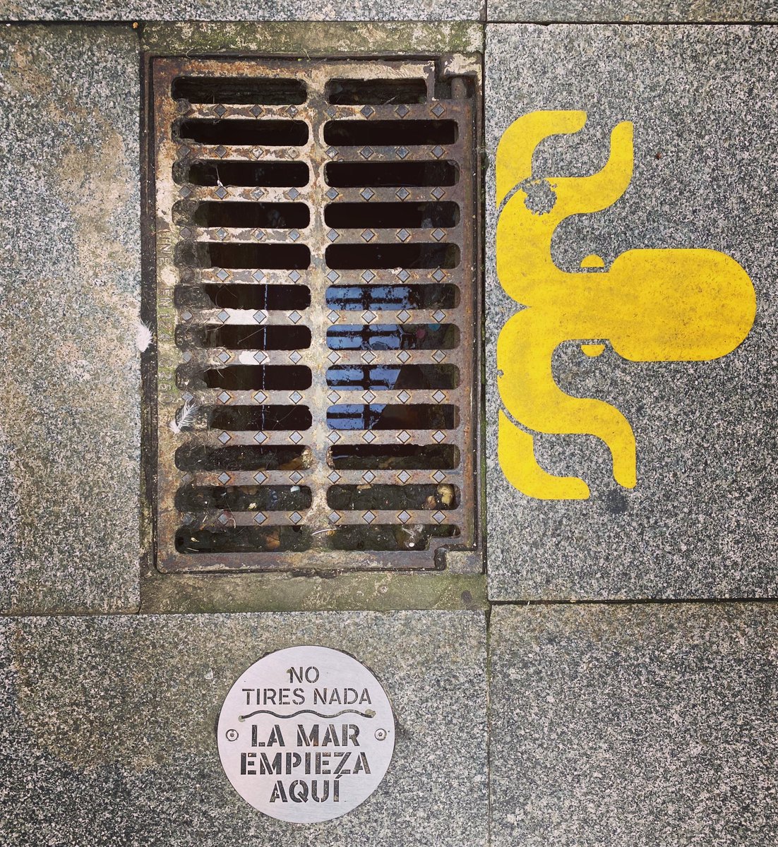 _Sirolopez_'s tweet photo. No tires nada, la mar empieza aquí 🌊 Hay invitaciones que educan, sensibilizan y me enamoran #mar #educacionambiental #educacionsocial #cambioclimatico https://t.co/NSztI1dhTv