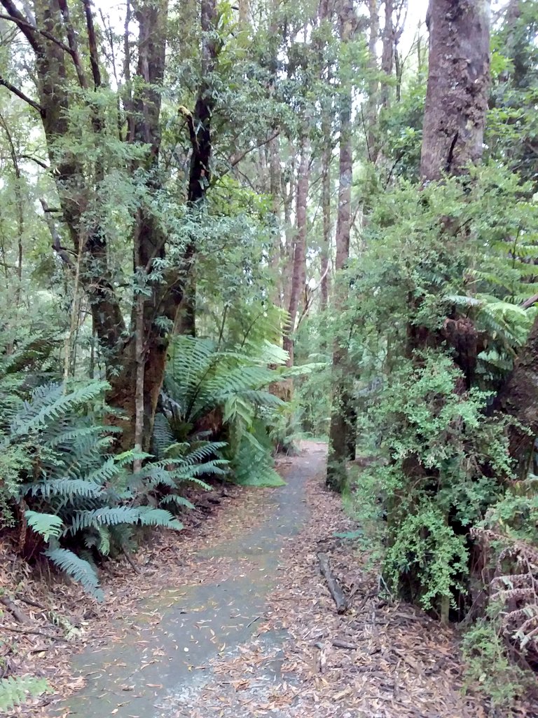 Joy Dolphin tweet media