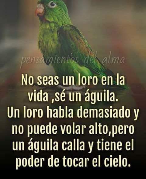 FrancoRonal23's tweet photo. #frase26012020 https://t.co/azayH9p1da