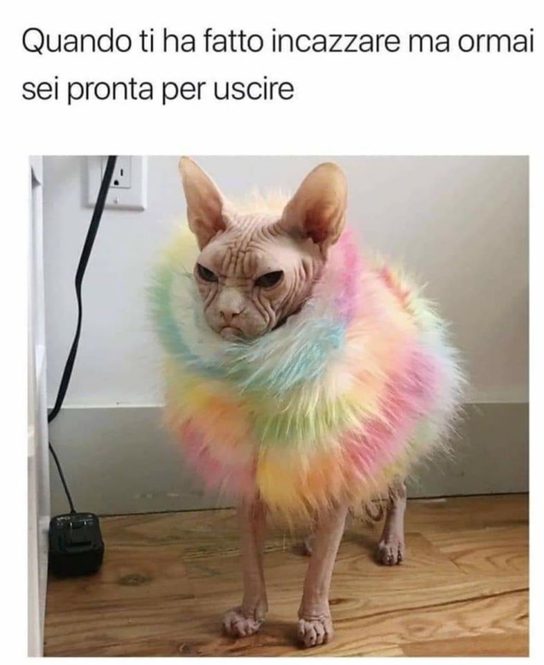 sciallamamma's tweet photo. Eh, chi ci si ritrova? 
#bellaezitella https://t.co/Aa54RRnmsJ