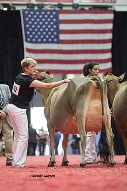 'VODKA MARTINI FIZZY NOT STIRRED'
What a lot to kick off our Jersey line up with! 

A Tequila Fizz dtr Direct from Elliots Cosmo Action EX93

🌐2014 All-American Sr 3 Yr Old
🌐1st Sr 3 &amp; HM Int. Champ World Dairy Expo 2014
🌐1st Sr 3 &amp; Res. Grand Champ Mid-Atlantic Regional Show