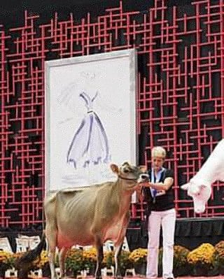 PerfectionCSale's tweet photo. 'VODKA MARTINI FIZZY NOT STIRRED'
What a lot to kick off our Jersey line up with! 

A Tequila Fizz dtr Direct from Elliots Cosmo Action EX93

🌐2014 All-American Sr 3 Yr Old
🌐1st Sr 3 &amp; HM Int. Champ World Dairy Expo 2014
🌐1st Sr 3 &amp; Res. Grand Champ Mid-Atlantic Regional Show https://t.co/f9L9GAi0nT