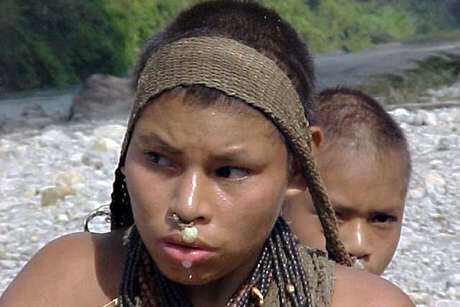 miolacharme's tweet image. Au #Pérou, un juge bloque la prospection de #petrole dans des territoires d'#Amazonie où des #Amerindiens vivent tjrs isolés du reste du monde. 
Une grande victoire pour les associations qui les défendent. 
via @survivalfr 
#Peru #IndigenousRights 
japantimes.co.jp/news/2020/01/2…