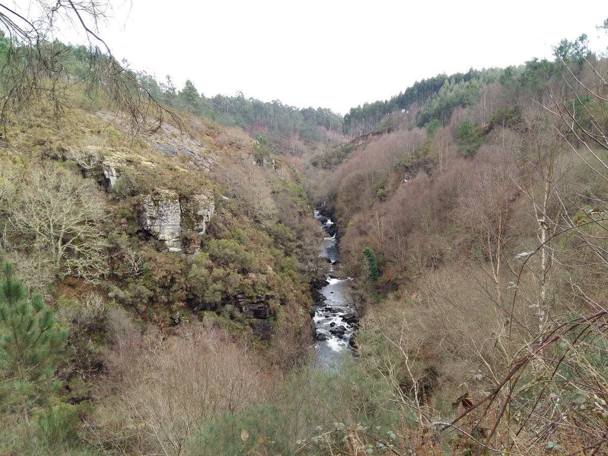 AlvarezSoaje's tweet photo. Espectaculares paisajes en el entorno del río #Mandeo (Coruña). Una pena que no se promueva su mantenimiento y visitas. Cascadas de película, bosques y un desfiladero de 5 km!!! @Turgalicia @GaliciaNorte @GaliciaMaxica https://t.co/gnYyqdY2zO