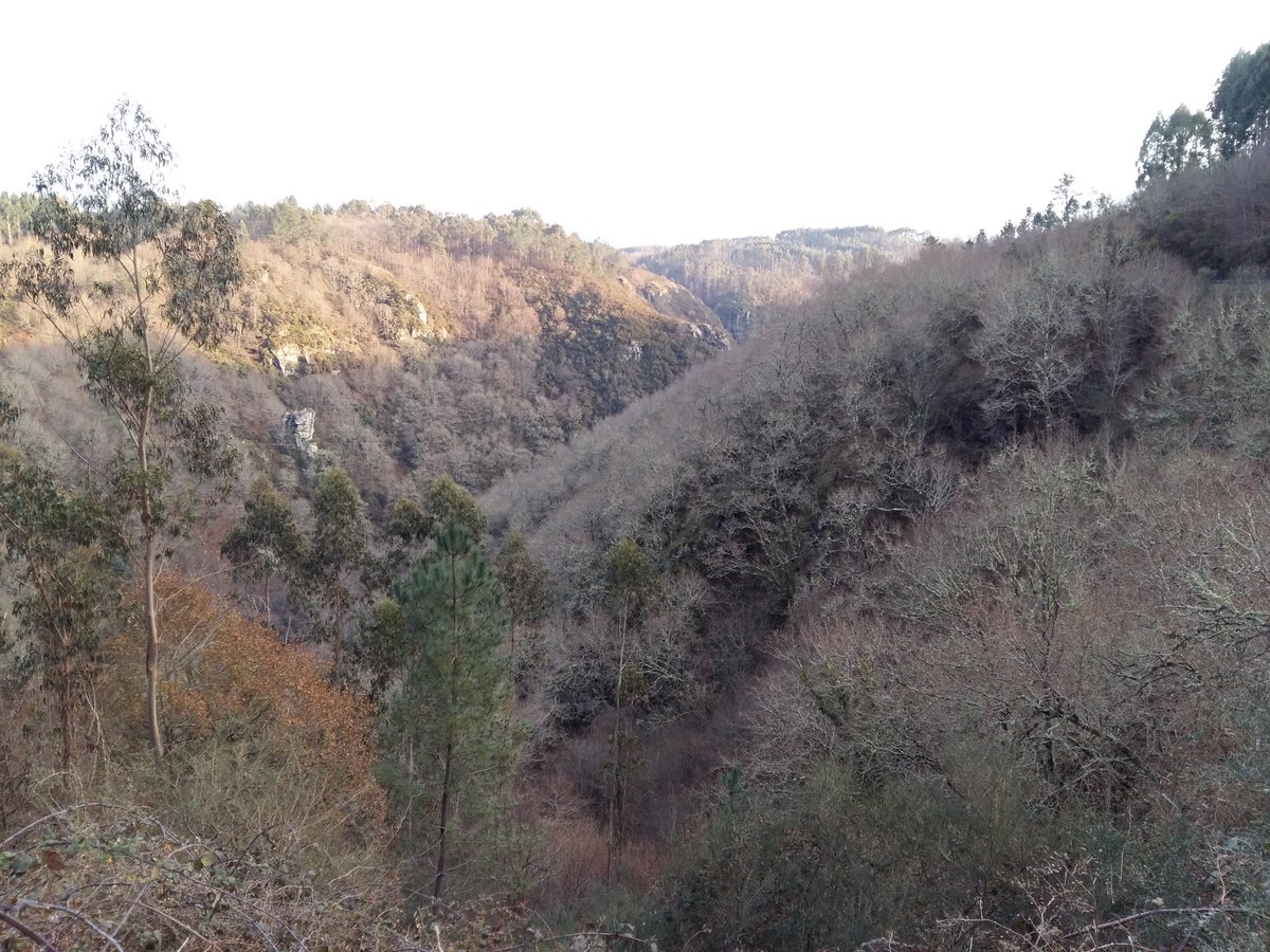 AlvarezSoaje's tweet photo. Espectaculares paisajes en el entorno del río #Mandeo (Coruña). Una pena que no se promueva su mantenimiento y visitas. Cascadas de película, bosques y un desfiladero de 5 km!!! @Turgalicia @GaliciaNorte @GaliciaMaxica https://t.co/gnYyqdY2zO