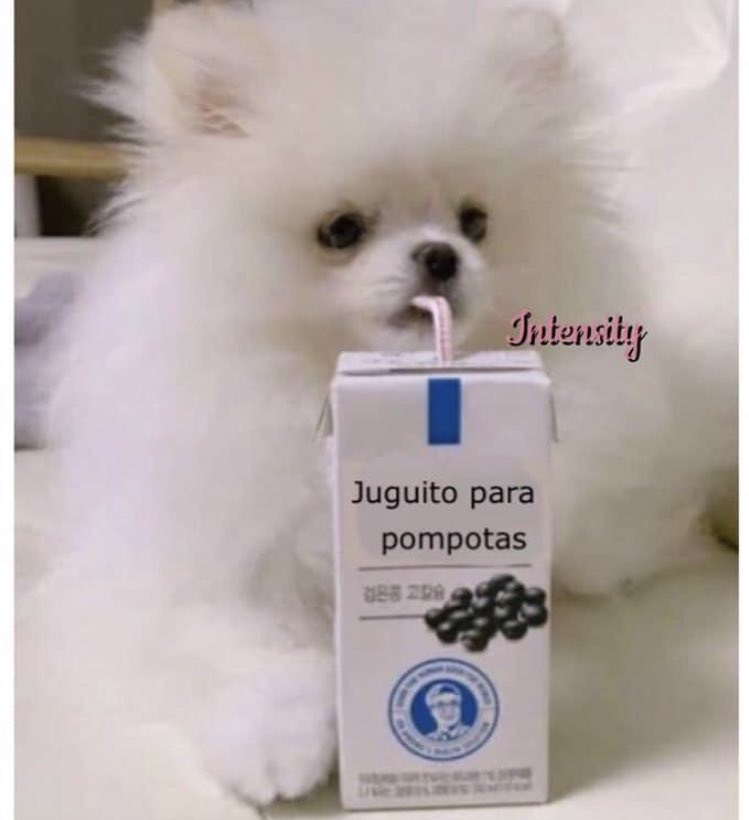 Michele Peña tweet media