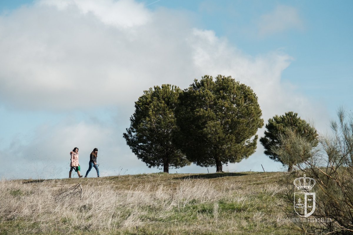 AytoFuensalida's tweet photo. 🐿🌳 Hoy se ha celebrado en nuestro municipio la gran bellotada ibérica. Este iniciativa, que existe a lo largo y ancho de nuestro país tiene como fin poner freno a la #desertificación a la que se expone la península ibérica.

#LaGranBellotadaIbérica
#FuensalidaEsSostenible https://t.co/yTrpdEiJie