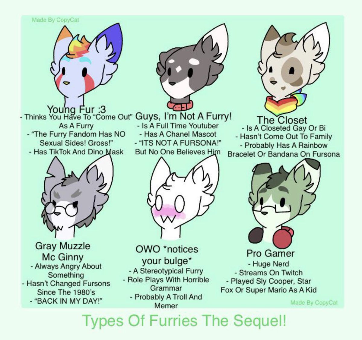 What kind of furry are you? 