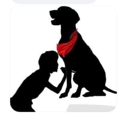 morgoth1980's tweet image. Es un héroe jajajaja