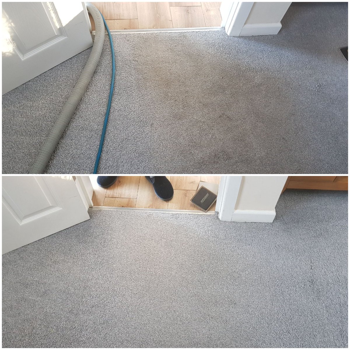 Captain Rug Wash Carpet & Upholstery Cleaning tweet media