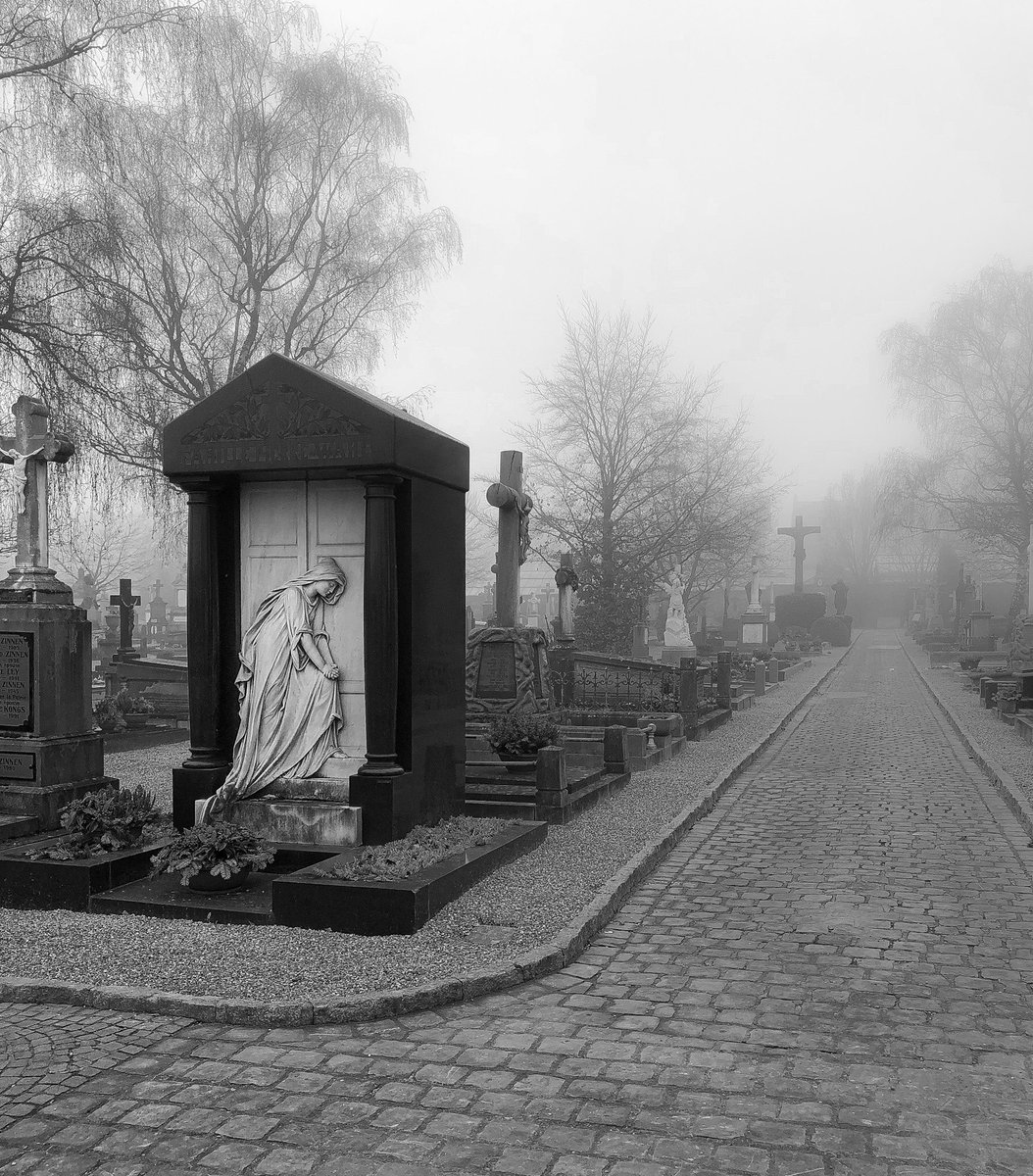 #cemeteryphotography #zwartwit #blackandwhitephotography #grading 
#cemetery #cemetery_shots #graveyard #graveyardphotography #bw #zw #bwstreetphotography #bwstreet #insta_bw #hobby #streetsofluxembourg