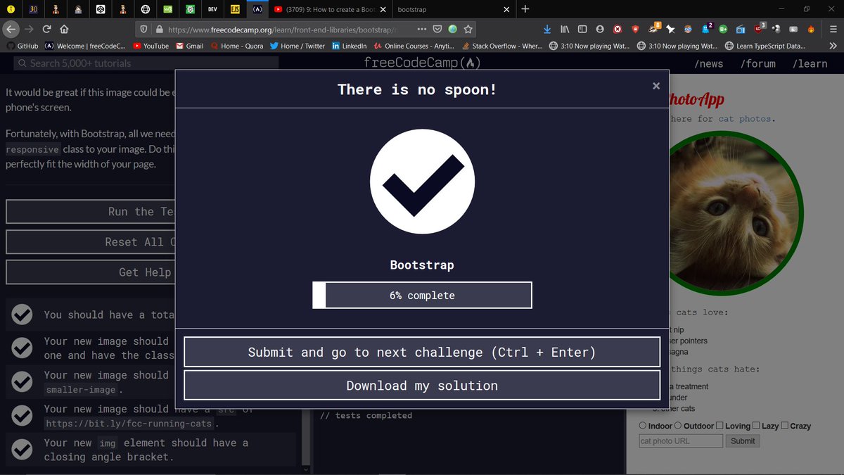 Freecodecamp challenge snap