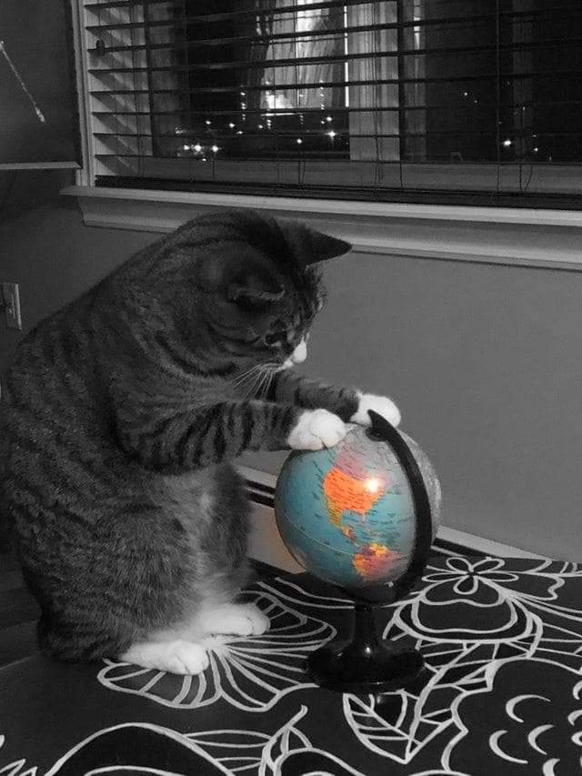 منشور مخصص لكم ..
ضعوا ما يروق لكم هنا 
خربشة ، أمنية ، دعوة ، عتاب ، دعاء

#سأقرء_فقط.