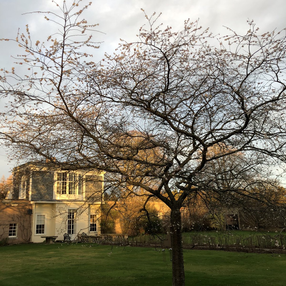 Zazgl's tweet image. More digging but it was warm and sunny! #sundayfunday #digdigdig