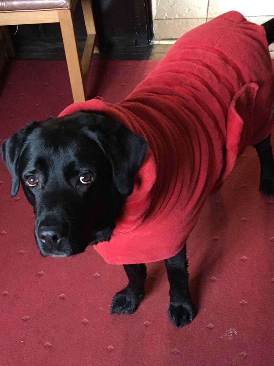 Angelalonguk's tweet photo. @RealLynnBowles Like this one 😆 https://t.co/b3mJaknLih